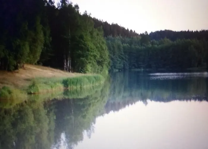 Weineck * Nejdek